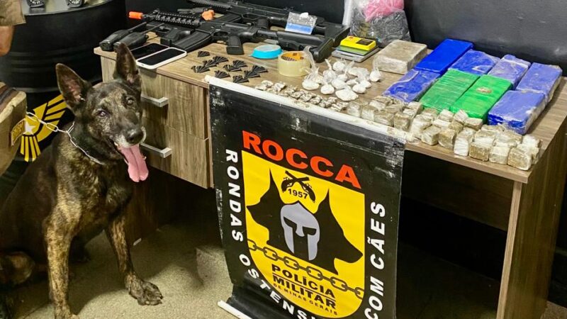 Vídeo: Polícia Militar encontra grande quantidade de drogas em matagal no bairro Santa Edwirges