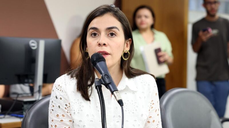 Secretário de Estado de Cultura não comparece em  Audiência Pública e será convocado novamente