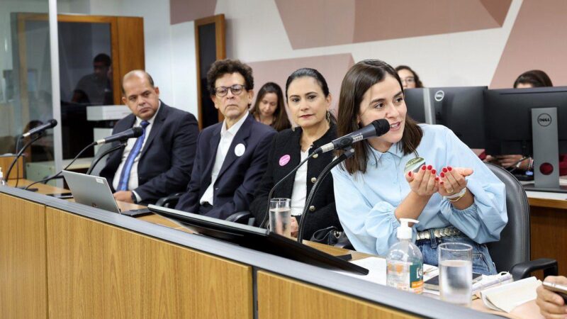 Deputada rebate prefeito de Mateus Leme sobre a Serra do Elefante: “O lugar do debate é na ALMG, não no Instagram”