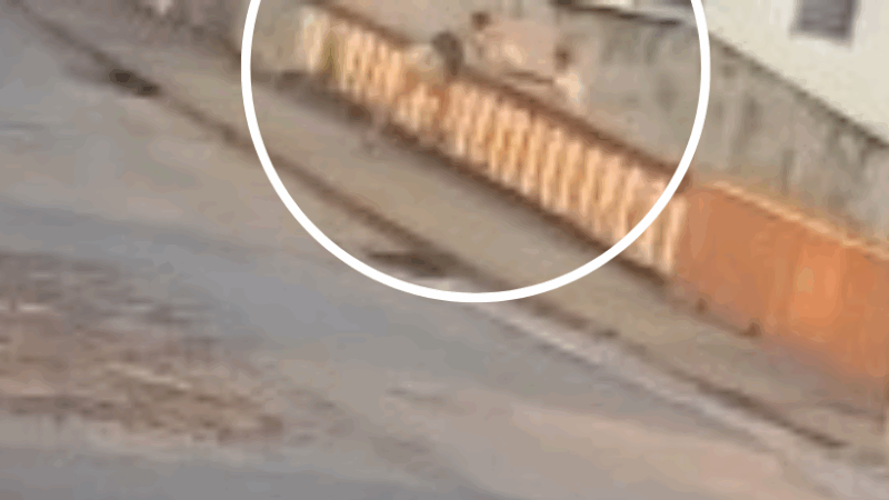 Vídeo: mulher é presa depois de flagrada empurrando o marido de ponte em Alpinópolis