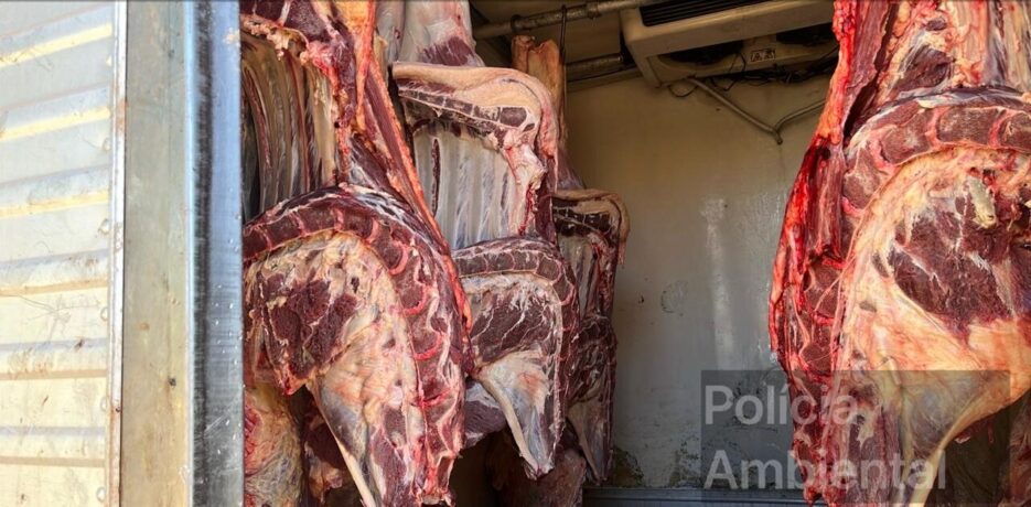 Polícia ambiental encontra abate clandestino de animais e caminhão furtado em Pará de Minas
