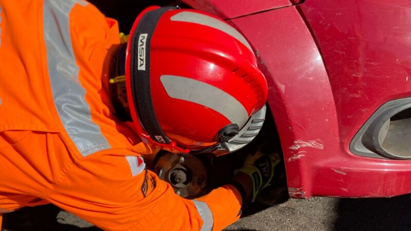 Vídeos: bombeiros resgatam gato preso no motor de um carro