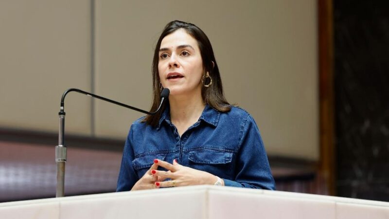 Deputada Lohanna conquista aprovação de importantes emendas na LDO