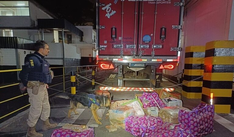 PRF apreende 400 kg de maconha em carregamento de carne na BR 262, em Juatuba