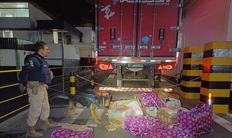 PRF apreende 400 kg de maconha em carregamento de carne na BR 262, em Juatuba