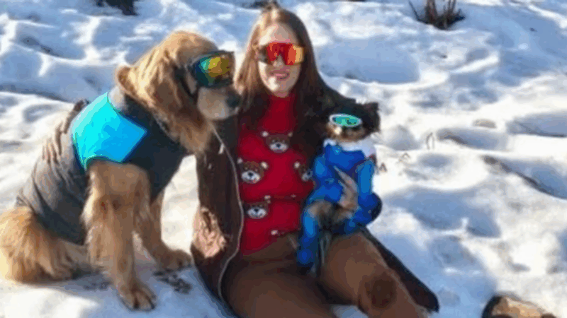 Vídeo: brasileira que morreu em acidente de carro em nevasca será cremada na Argentina