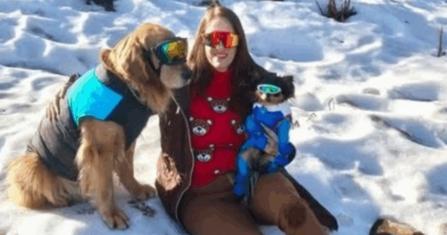 Vídeo: brasileira que morreu em acidente de carro em nevasca será cremada na Argentina