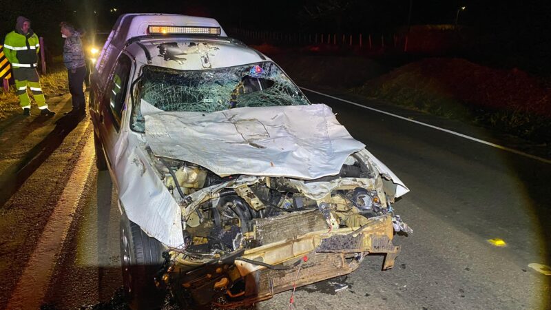 Animal na pista provoca acidente na MG 050