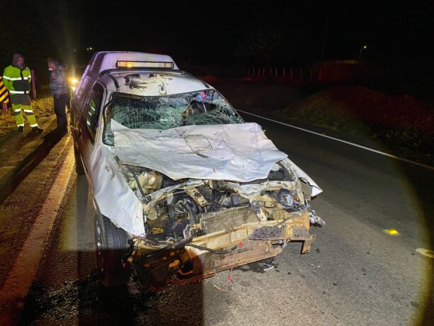 Animal na pista provoca acidente na MG 050