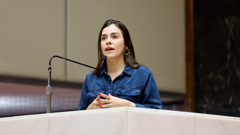 Assembleia aprova projeto de Lohanna que reconhece a Orquestra Filarmônica de Minas Gerais de relevante interesse cultural