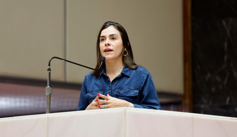 Assembleia aprova projeto de Lohanna que reconhece a Orquestra Filarmônica de Minas Gerais de relevante interesse cultural