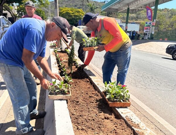 Prefeitura de Itaúna intensifica mudanças no paisagismo na cidade