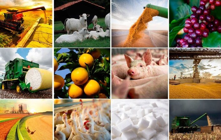 Exportações do agro brasileiro têm alta de 1,5% em primeiro mês do tarifaço