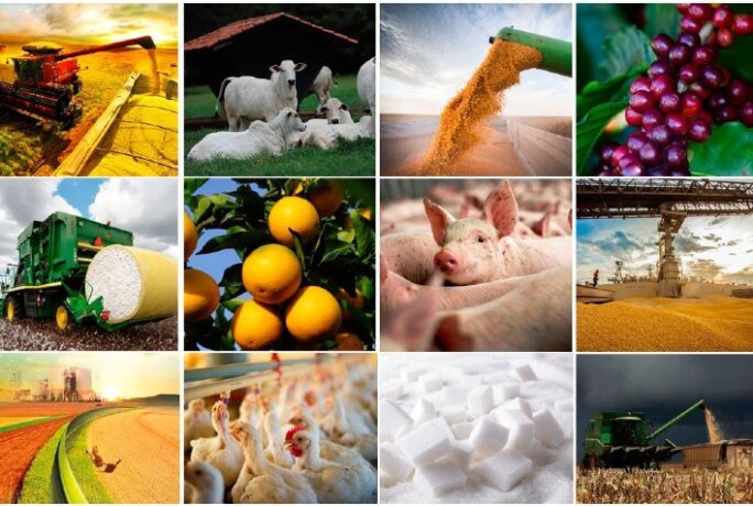 Exportações do agro brasileiro têm alta de 1,5% em primeiro mês do tarifaço