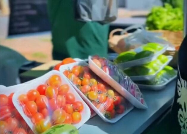 Vídeo: população aprova a feira de agricultura familiar que será realizada todos os sábados na Praça Celi