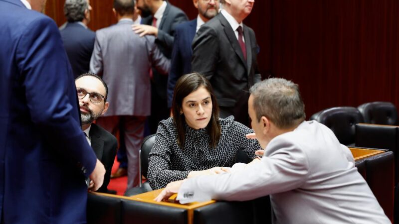 Deputada pede CPI para investigar esquema de corrupção da mineração na Secretaria de Estado de Meio Ambiente