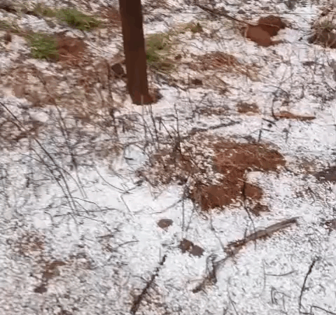 Vídeo: chuva forte, granizo e ventos assustam moradores de Itatiaiuçu; em Itaúna não choveu