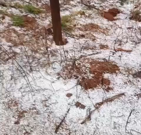 Vídeo: chuva forte, granizo e ventos assustam moradores de Itatiaiuçu; em Itaúna não choveu