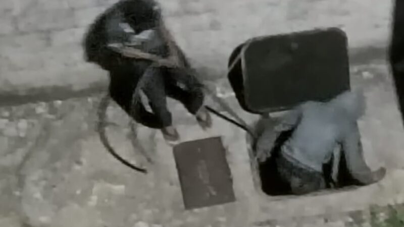 Vídeo flagra mais um furto de cabos nesta madrugada; moradores acionaram a PM que não compareceu