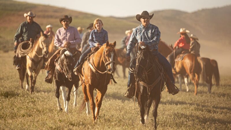 Cantor é esfaqueado durante evento de cavalgada na comunidade de Carneiros