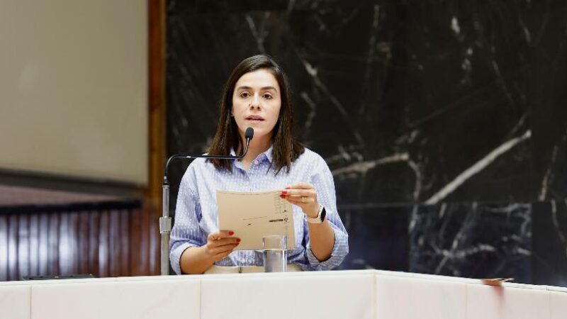 Deputada solicita AP para debater centralização da regulação das cirurgias em Minas Gerais