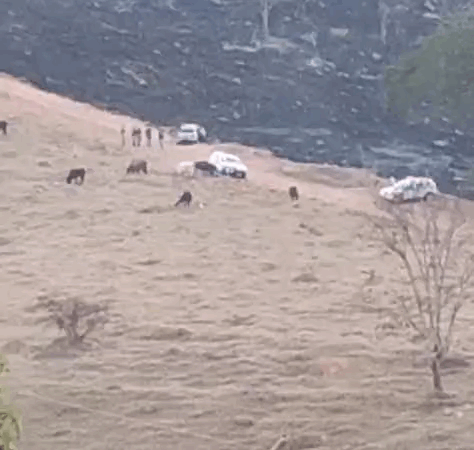 Dois corpos carbonizados foram encontrados dentro de carro na área incendiada na MG 050