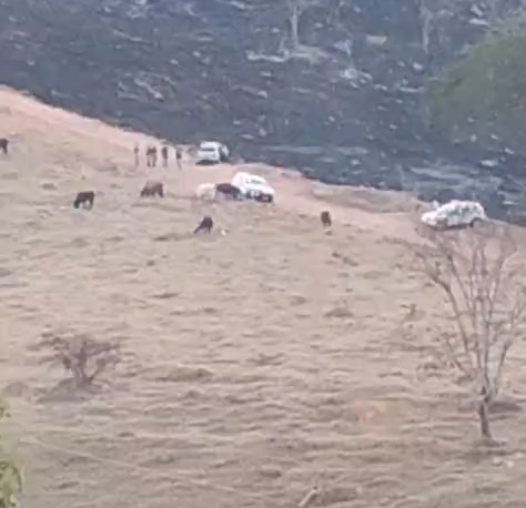 Dois corpos carbonizados foram encontrados dentro de carro na área incendiada na MG 050