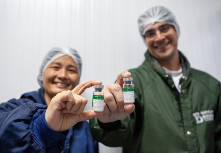 Vacina da dengue do Instituto Butantan, primeira do mundo em dose única, é aprovada pela Anvisa