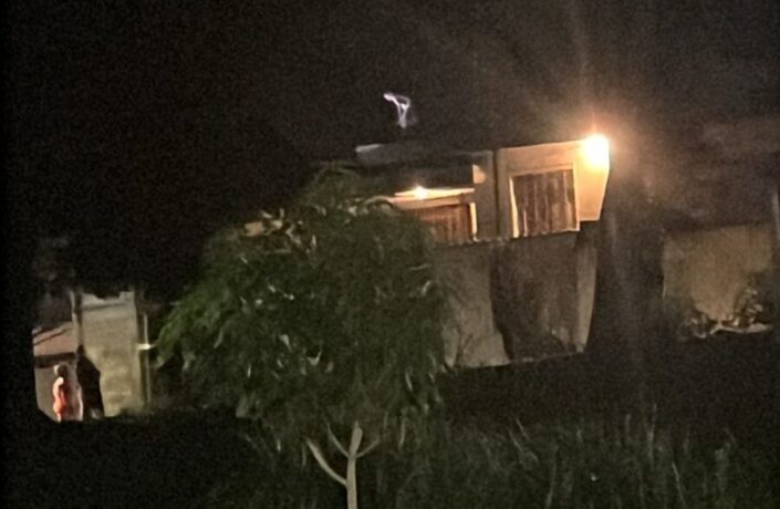 Vídeos: força tarefa resgata homem em surto que ameaçava se matar no Bairro Padre Eustáquio