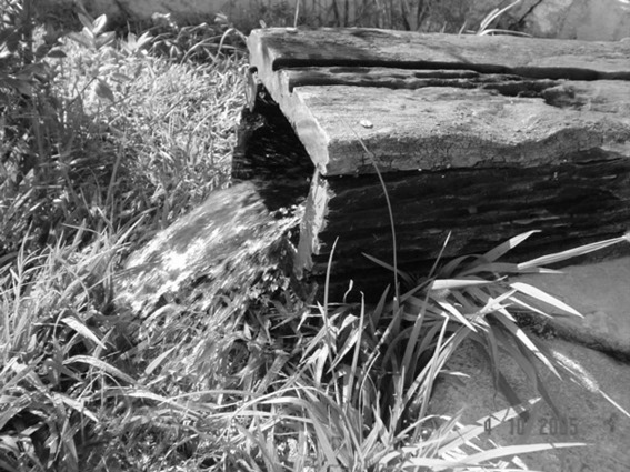 SAAE de Itaúna completa 61 anos de fundação em dezembro