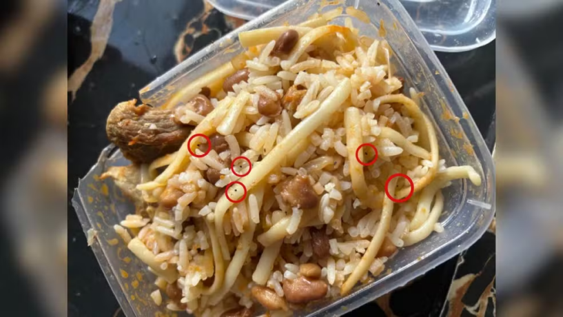 Adolescente confessa ter colocado chumbinho nas marmitas dos pais, em Nova Serrana