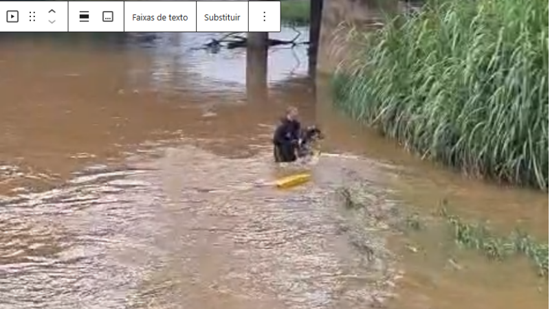 Vídeo: o 2º Batalhão de Bombeiros de Itaúna resgata cão das águas do Rio São João
