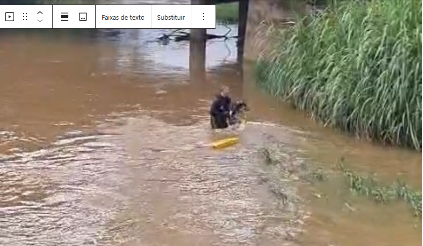 Vídeo: o 2º Batalhão de Bombeiros de Itaúna resgata cão das águas do Rio São João