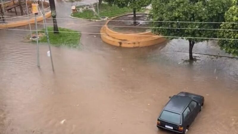 Vídeos: em minutos chuva cidade registra quedas de árvores, enxurradas e desabamentos
