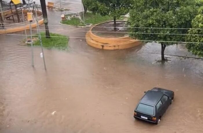 Vídeos: em minutos de chuva cidade registra quedas de árvores, enxurradas e desabamentos