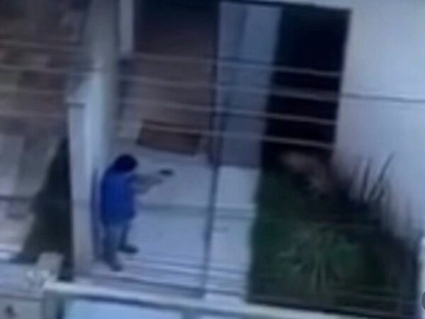 Vídeo: homem mata a tiros um cachorro dentro de casa em Pará de Minas