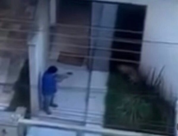 Vídeo: homem mata a tiros um cachorro dentro de casa em Pará de Minas