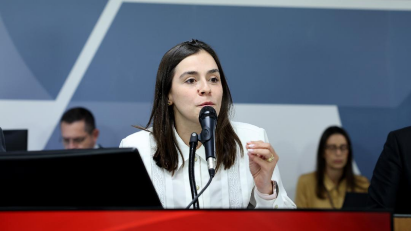 Deputada Lohanna propõe criação da Medalha Lô Borges para valorizar a música mineira