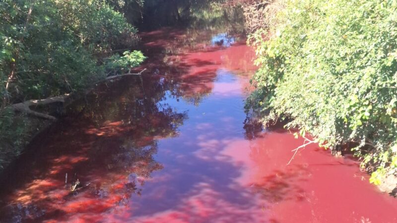 Mancha avermelhada em um curso d’água na região da Ponte da Fazendinha é investigada