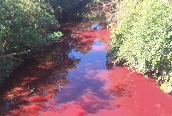 Mancha avermelhada em um curso d’água na região da Ponte da Fazendinha é investigada