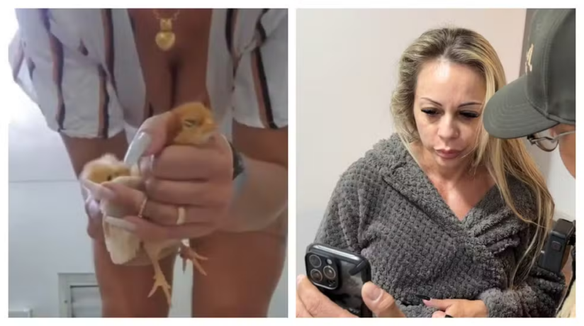 Vídeos: empresária é presa por fazer vídeos torturando e matando animais para vender na internet