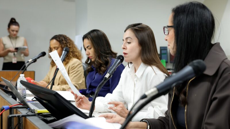Lohanna preside Comissão Especial que aprova indicação da primeira mulher da ALMG para o TCE