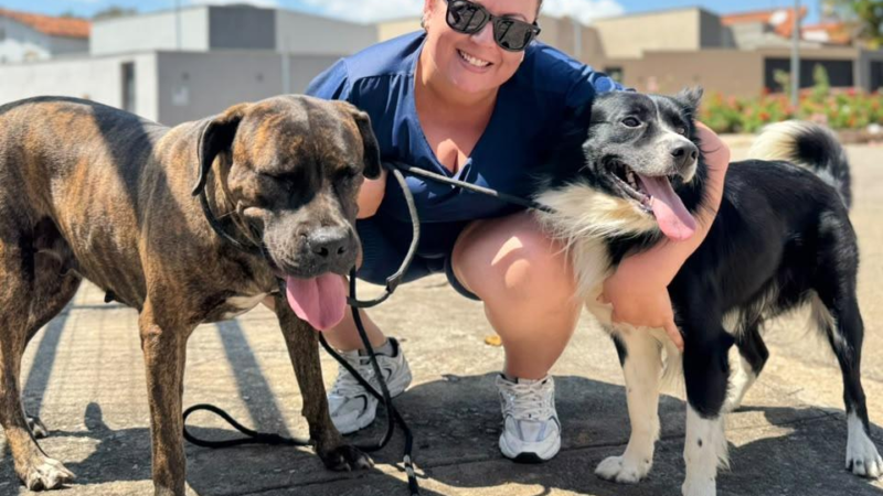 Itaúna vacina mais de 12 mil animais contra a raiva na campanha antirrábica