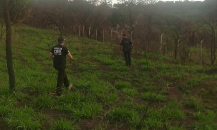 Ossada humana é encontrada em área de mata na MG 431; PC investiga o caso