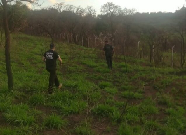 Ossada humana é encontrada em área de mata na MG 431; PC investiga o caso