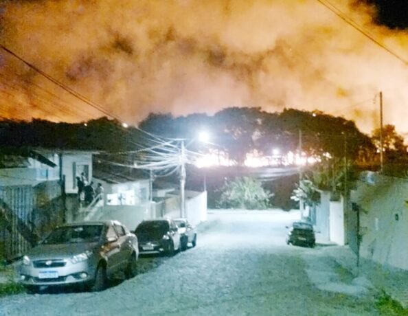 Incêndio consome mais de 3 hectares de vegetação no bairro Universitário, em Itaúna
